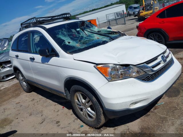 HONDA CR-V 2010 5j6re4h55al048586