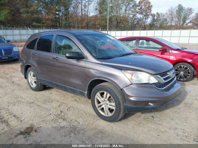 HONDA CR-V 2010 5j6re4h57al079273