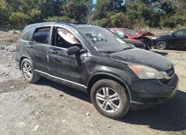 HONDA CR-V 2010 5j6re4h59al010679