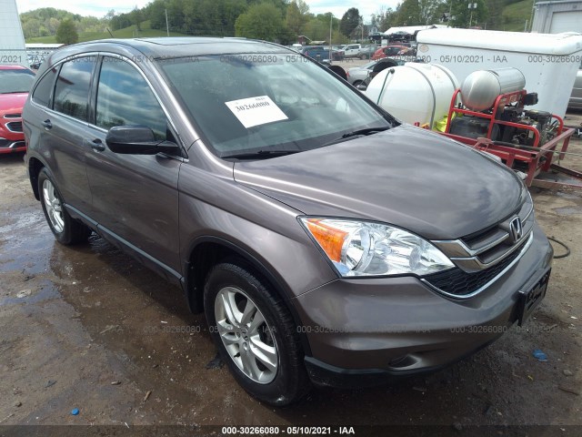 HONDA CR-V 2010 5j6re4h59al080649