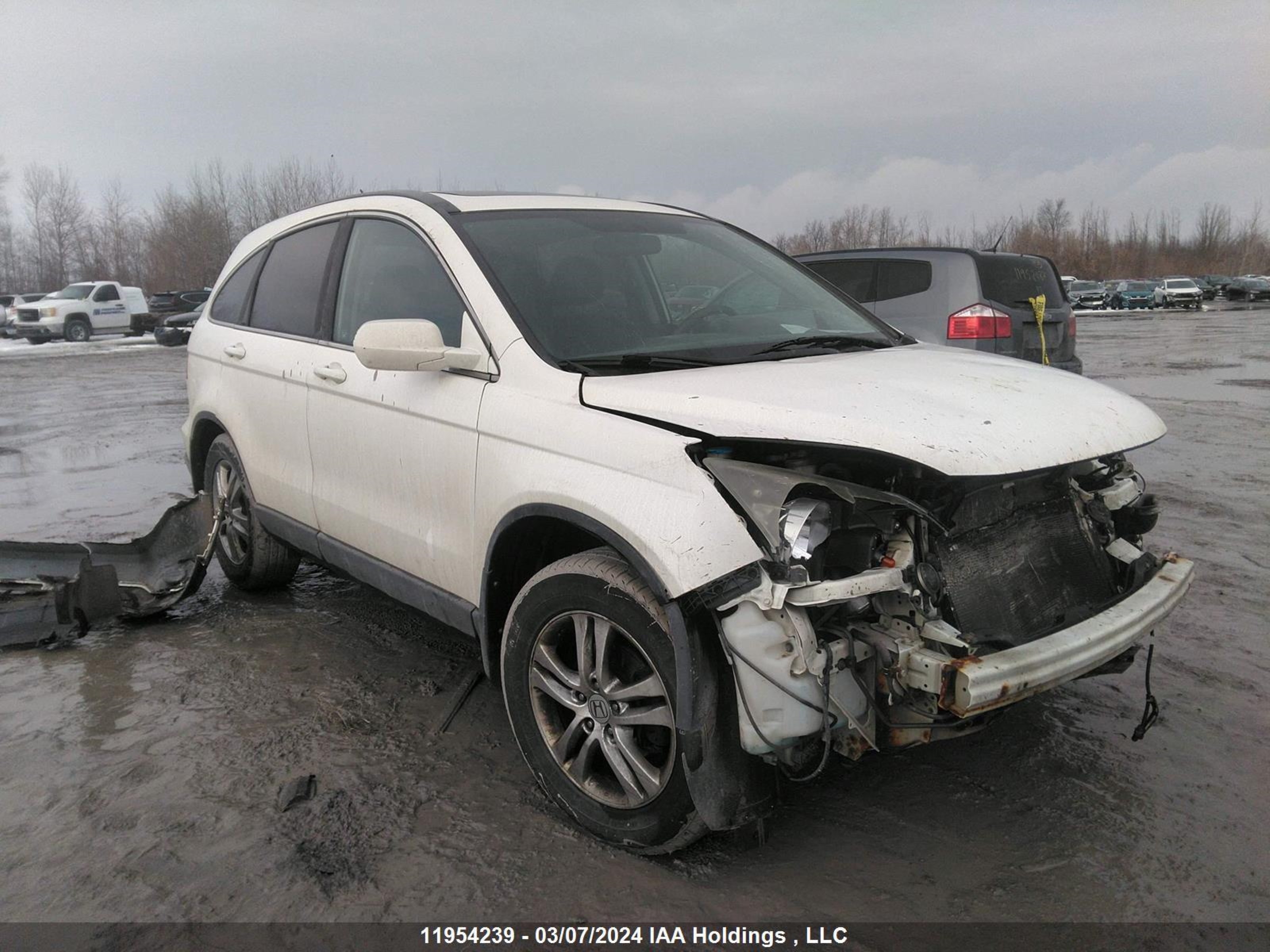 HONDA CR-V 2011 5j6re4h59bl821075