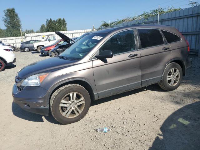 HONDA CR-V EX 2010 5j6re4h5xal065609