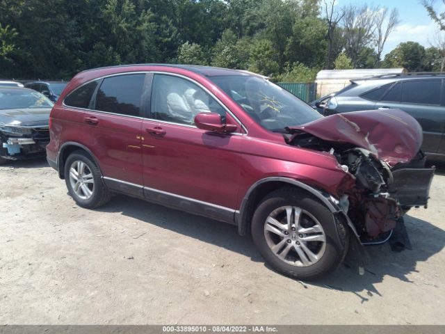 HONDA CR-V 2010 5j6re4h70al009759