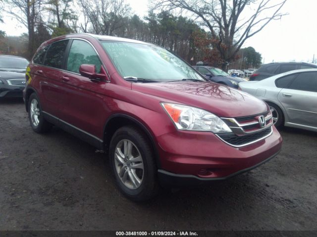 HONDA CR-V 2010 5j6re4h71al041331