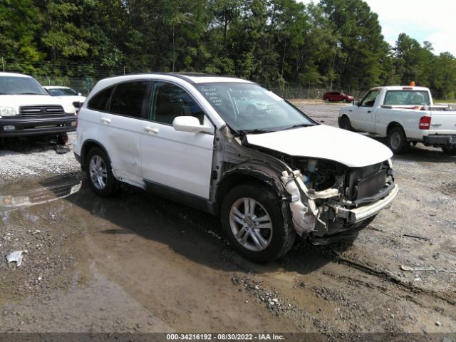 HONDA CR-V 2010 5j6re4h71al051180