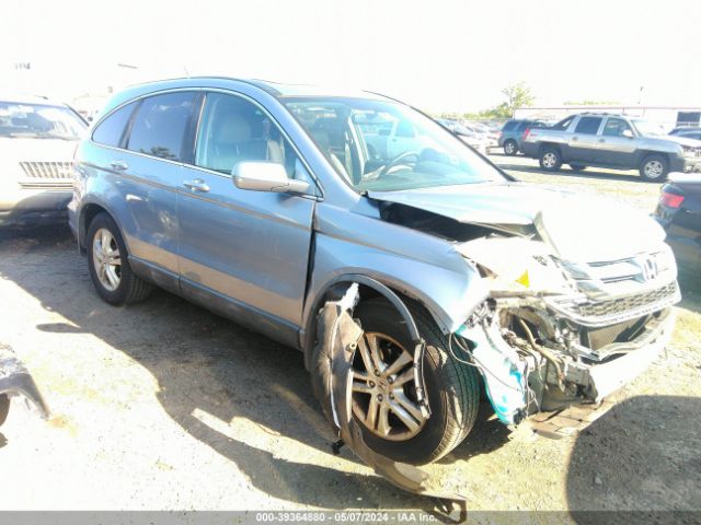 HONDA CR-V 2010 5j6re4h71al059327