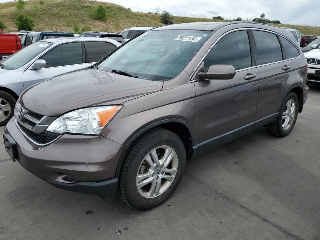 HONDA CRV 2011 5j6re4h71bl035630