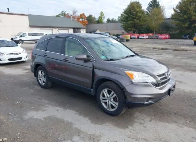 HONDA CR-V 2010 5j6re4h73al016365