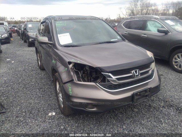 HONDA CR-V 2010 5j6re4h73al079417