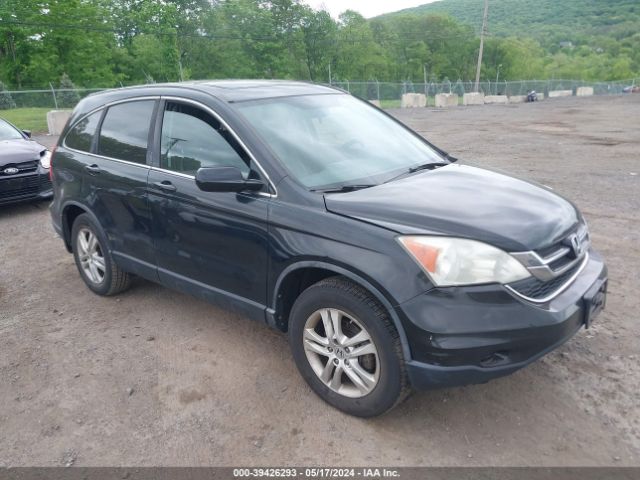 HONDA CR-V 2011 5j6re4h73bl024788