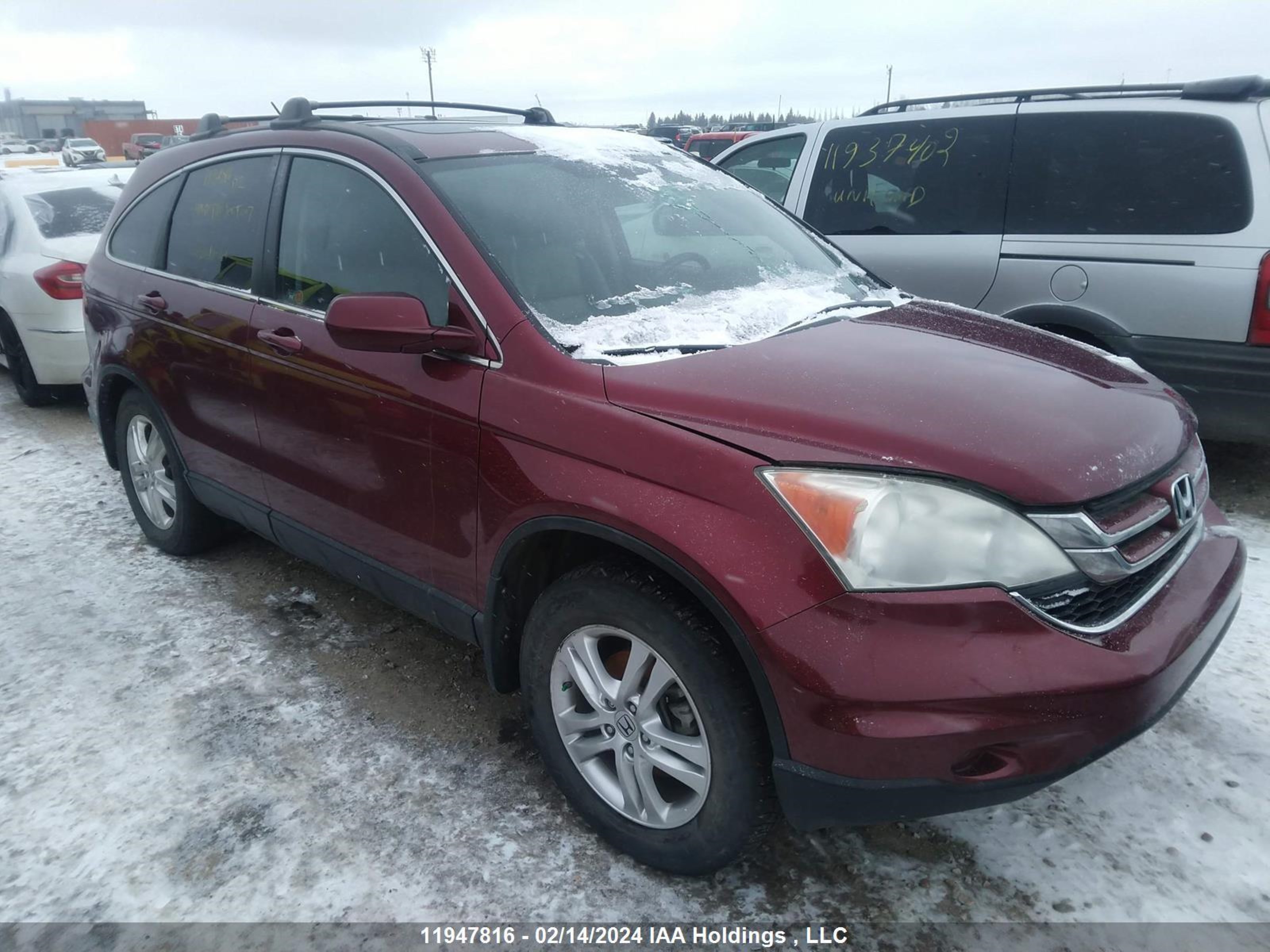 HONDA CR-V 2010 5j6re4h74al811618