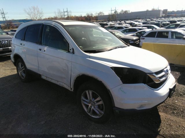 HONDA CR-V 2011 5j6re4h75bl117733