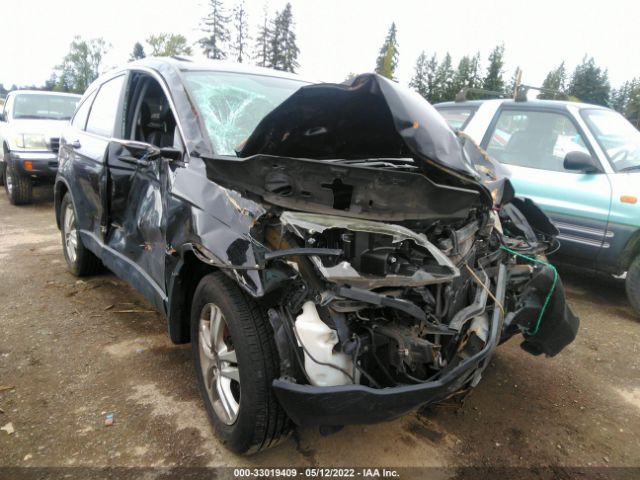 HONDA CR-V 2010 5j6re4h77al024016