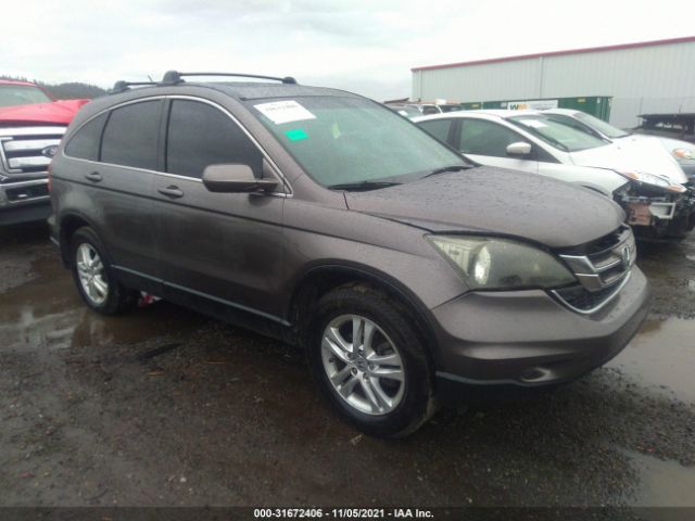 HONDA CR-V 2010 5j6re4h79al034871