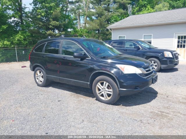 HONDA CR-V 2010 5j6re4h79al096402