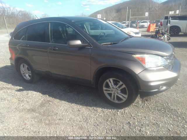 HONDA CR-V 2010 5j6re4h7xal039237