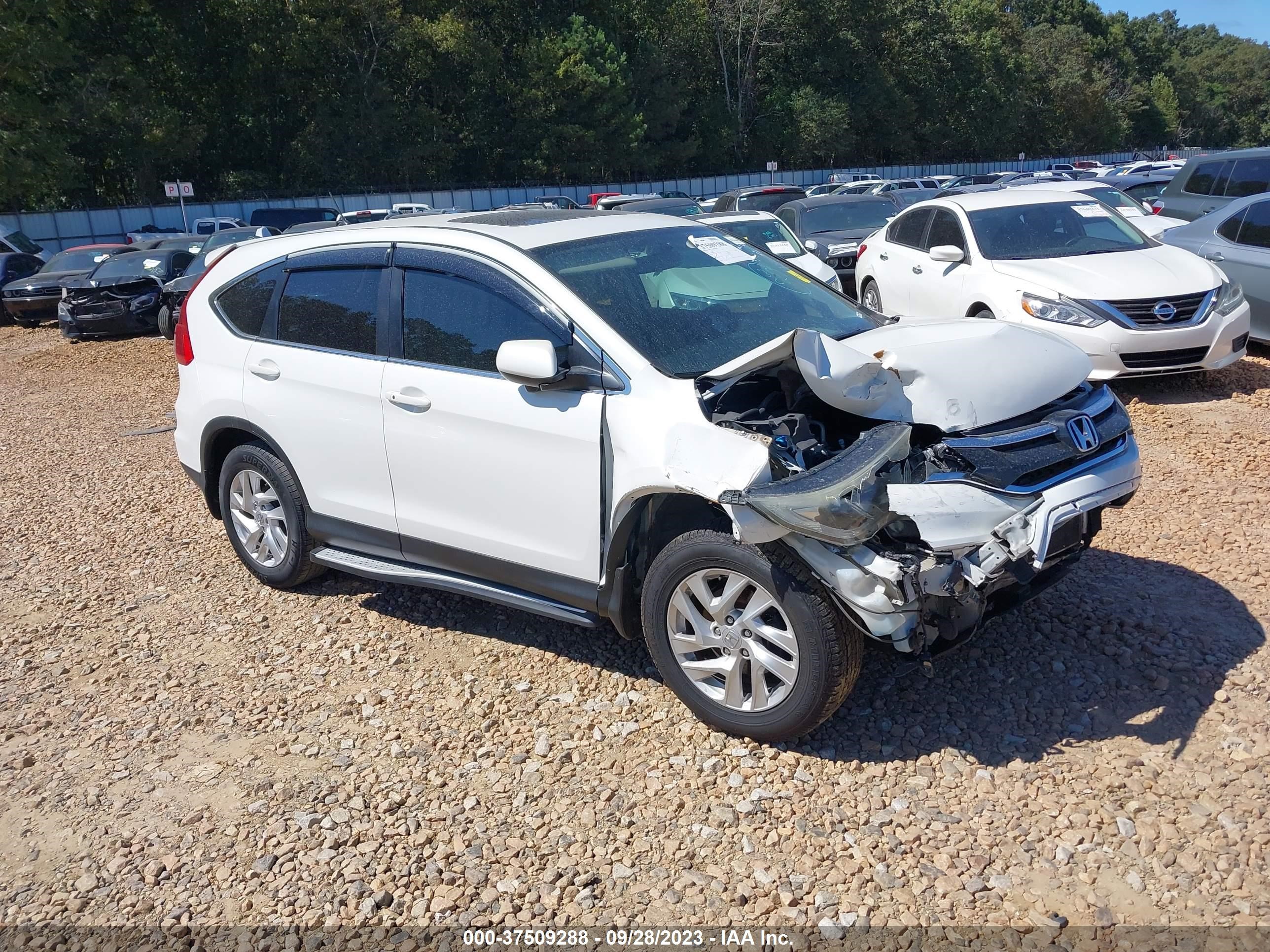 HONDA CR-V 2016 5j6rm3h54gl009218