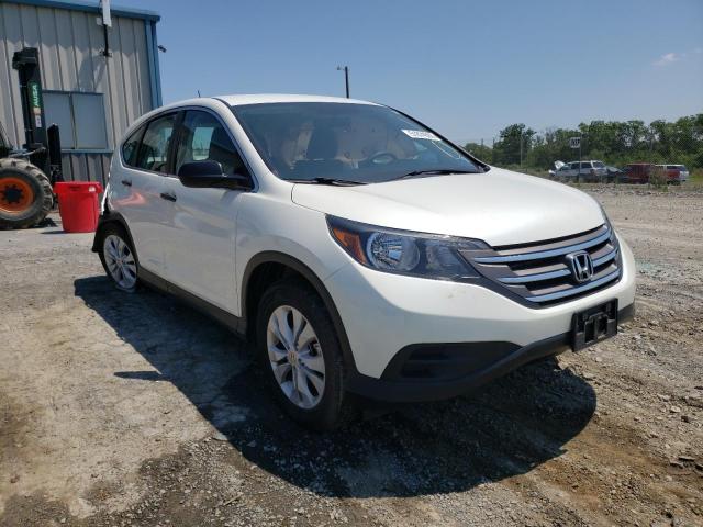 HONDA CR-V LX 2014 5j6rm4h35el100323