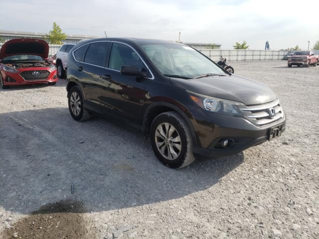 HONDA CR-V EX 2014 5j6rm4h56el035919