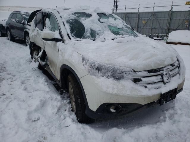 HONDA CR-V EX 2014 5j6rm4h58el093823