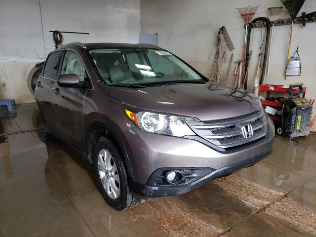 HONDA CR-V EXL 2014 5j6rm4h71el008225