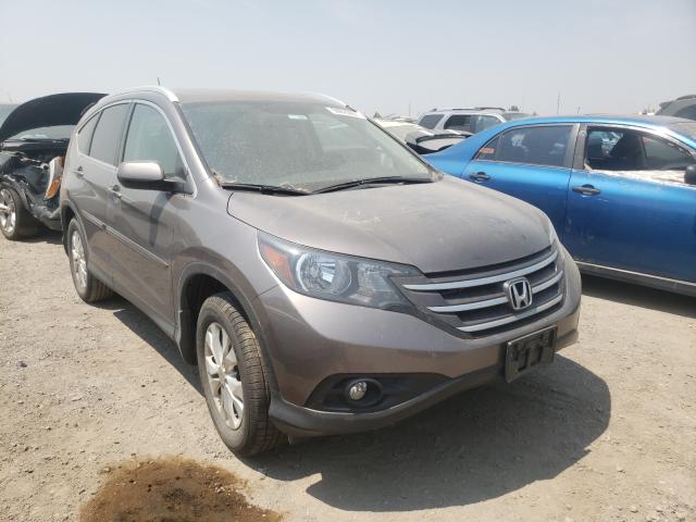 HONDA CR-V EXL 2014 5j6rm4h76el104125