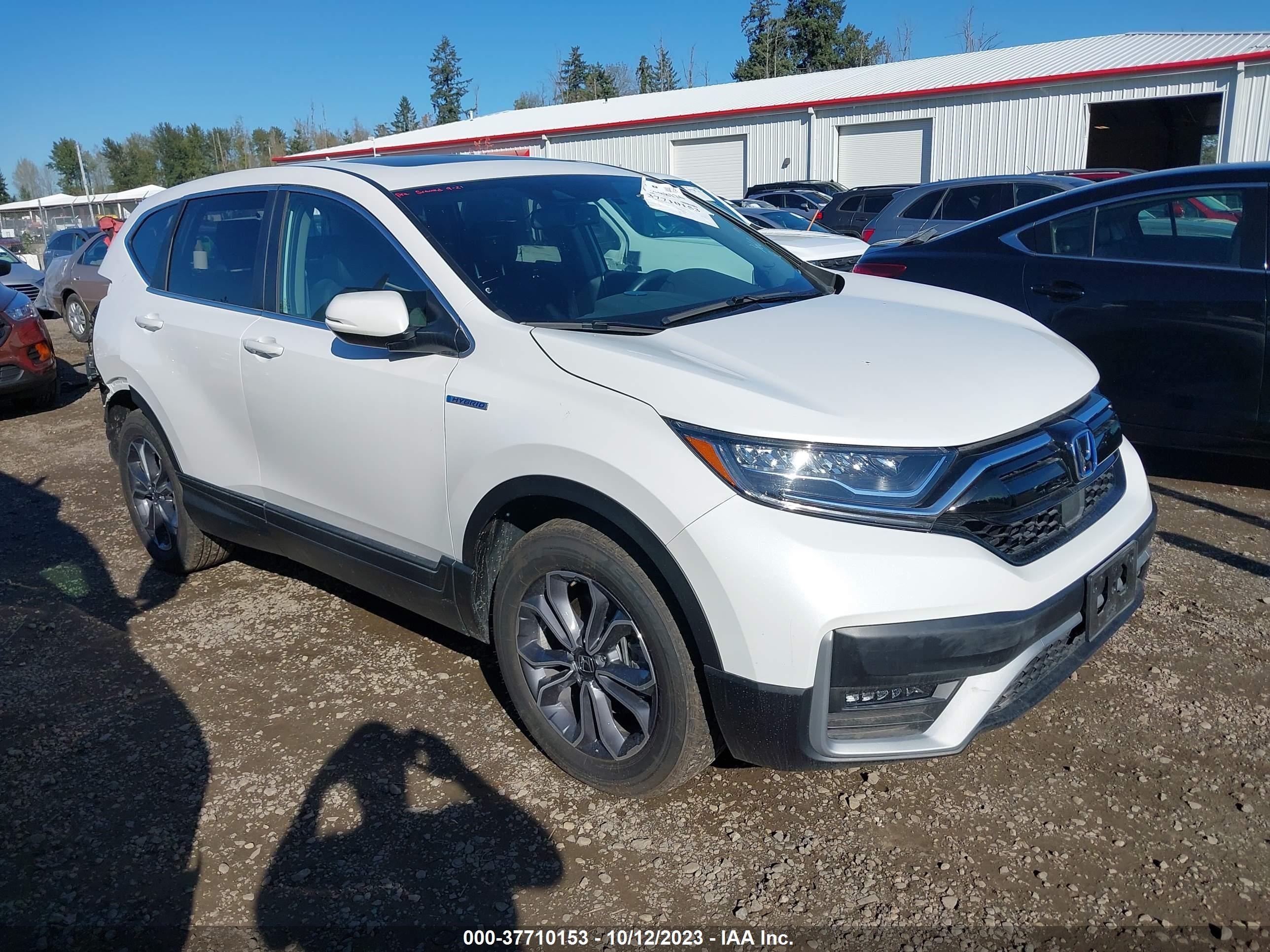 HONDA CR-V 2022 5j6rt6h82nl049275