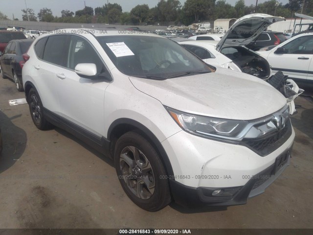 HONDA CR-V 2019 5j6rw1h50ka012751