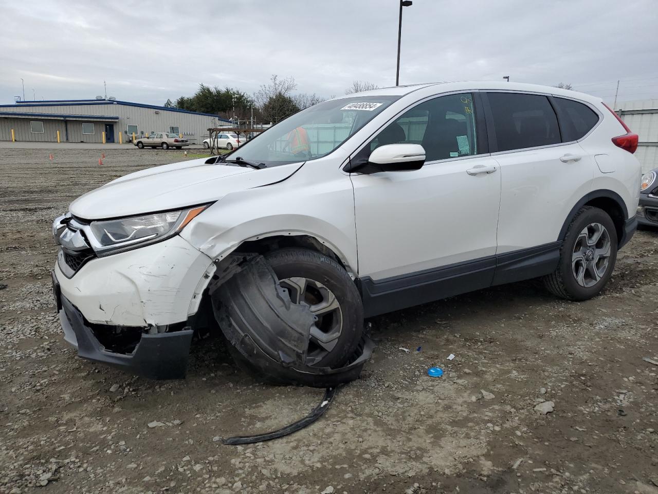 HONDA CR-V 2019 5j6rw1h50ka034281