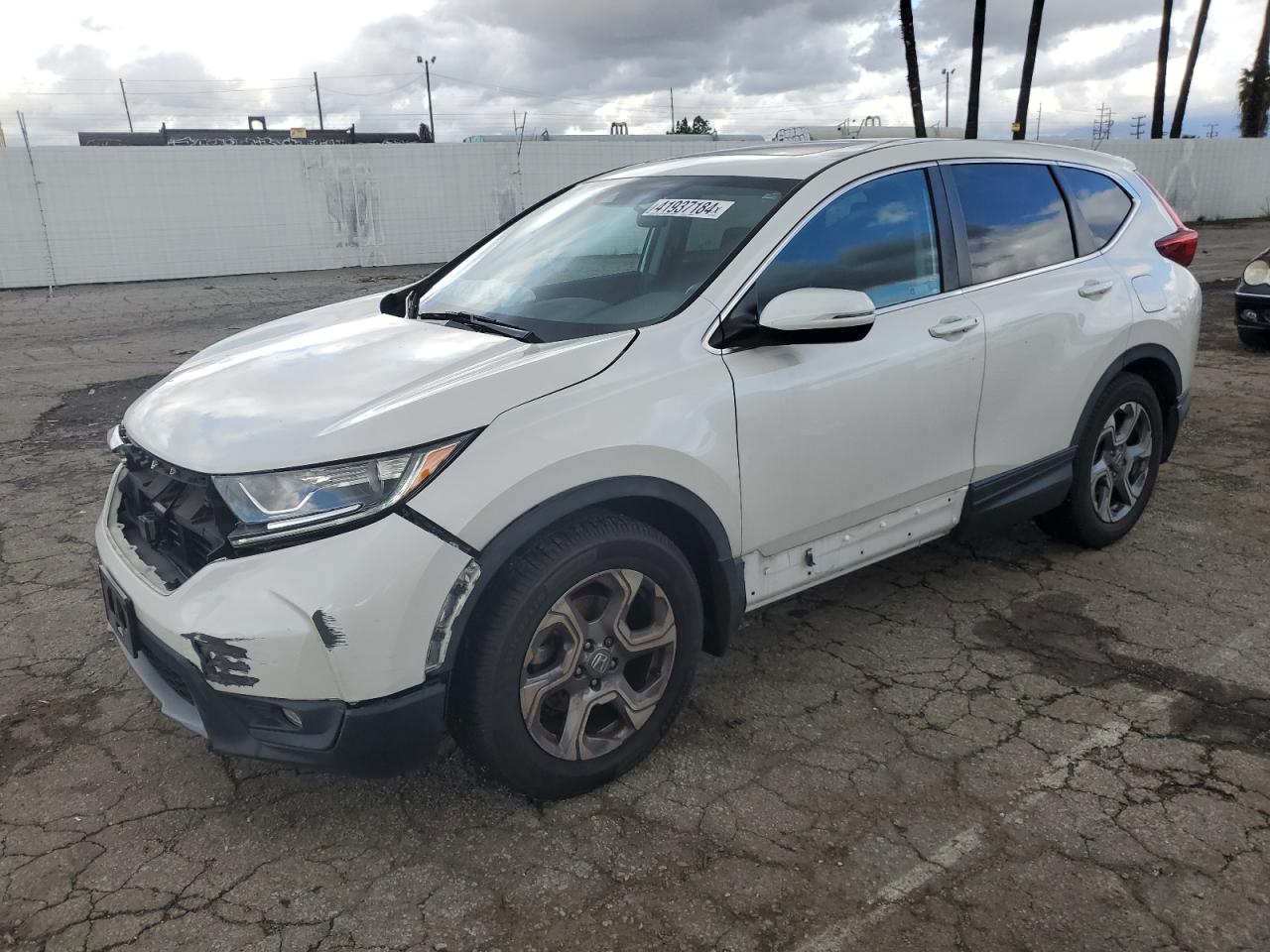 HONDA CR-V 2019 5j6rw1h52ka017224