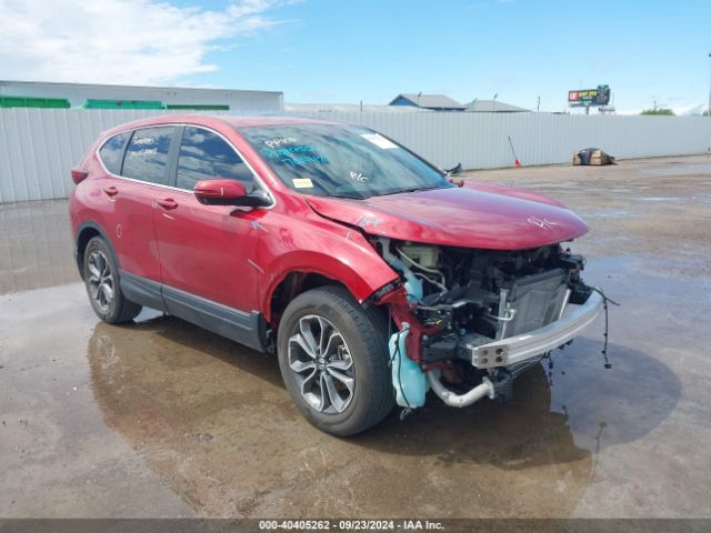 HONDA CR-V 2020 5j6rw1h52la011585