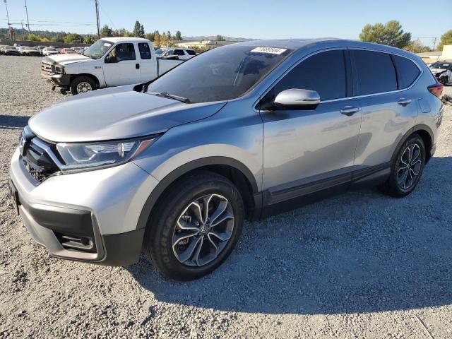 HONDA CR-V EX 2020 5j6rw1h53la008131