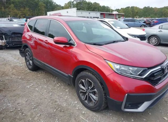 HONDA CR-V 2020 5j6rw1h53ll003063