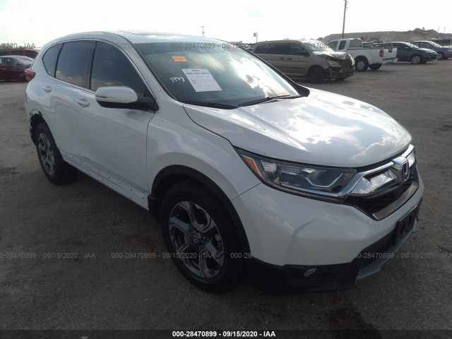 HONDA CR-V 2019 5j6rw1h54ka004619