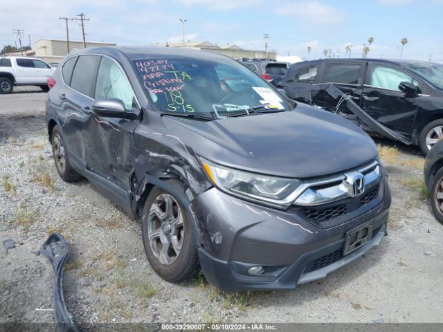 HONDA CR-V 2019 5j6rw1h55ka008209