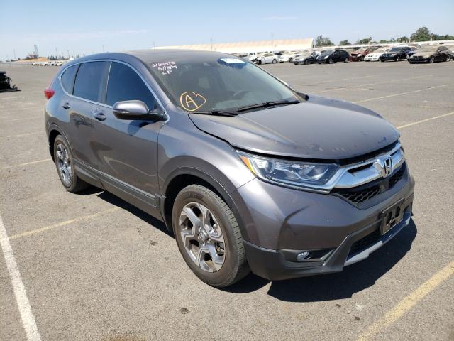 HONDA CR-V EX 2019 5j6rw1h55ka010509