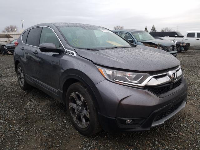 HONDA CR-V EX 2019 5j6rw1h55ka028895