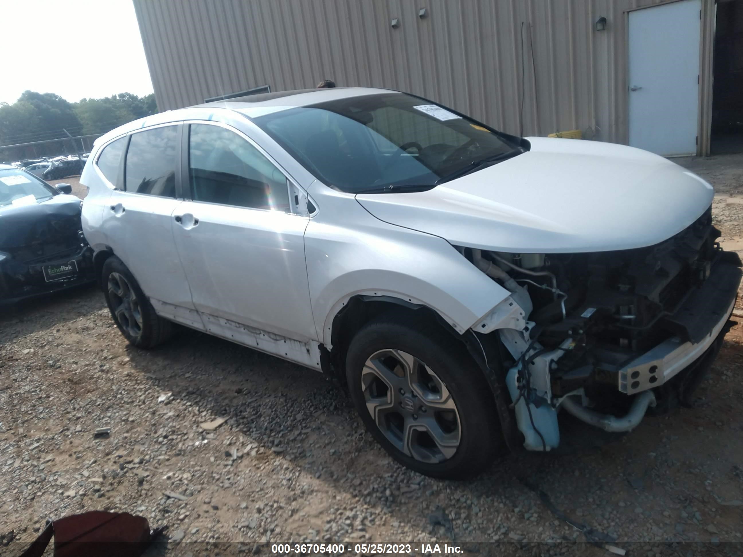 HONDA CR-V 2019 5j6rw1h55ka047544