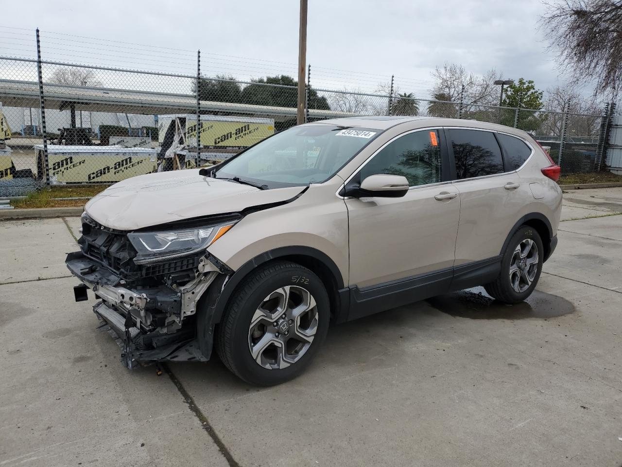 HONDA CR-V 2019 5j6rw1h58kl001047