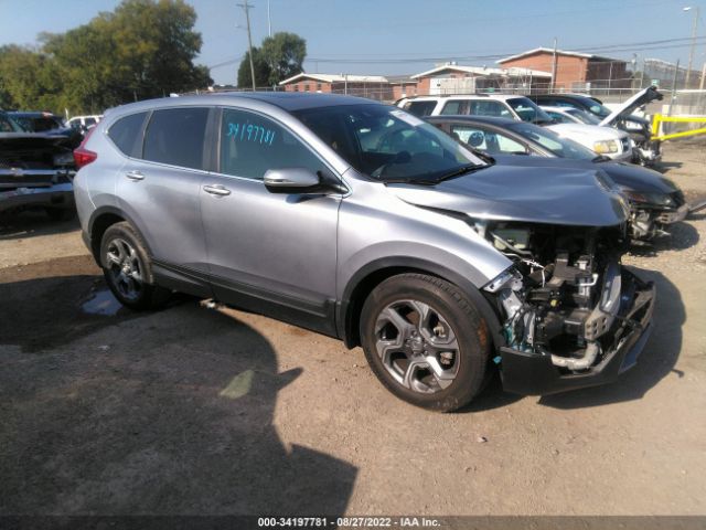 HONDA CR-V 2019 5j6rw1h59ka022582