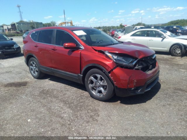 HONDA CR-V 2019 5j6rw1h59kl006466