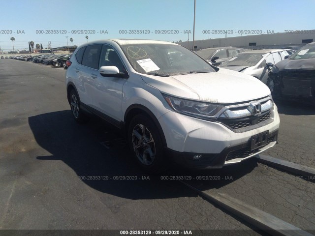 HONDA CR-V 2019 5j6rw1h5xka036779