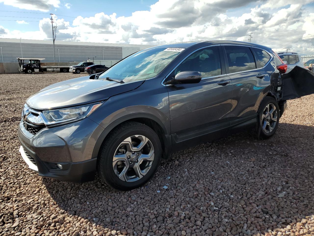 HONDA CR-V 2019 5j6rw1h80ka013134