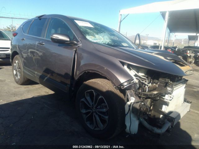 HONDA CR-V 2020 5j6rw1h80la016911