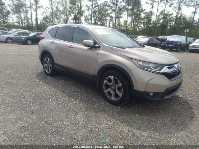 HONDA CR-V 2019 5j6rw1h81kl005502