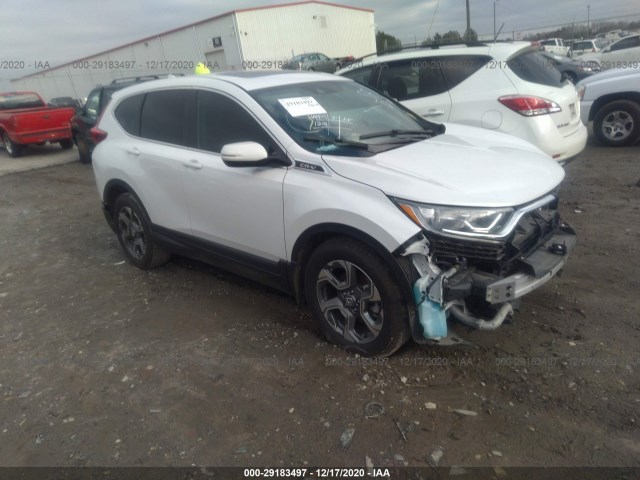 HONDA CR-V 2019 5j6rw1h82ka017301