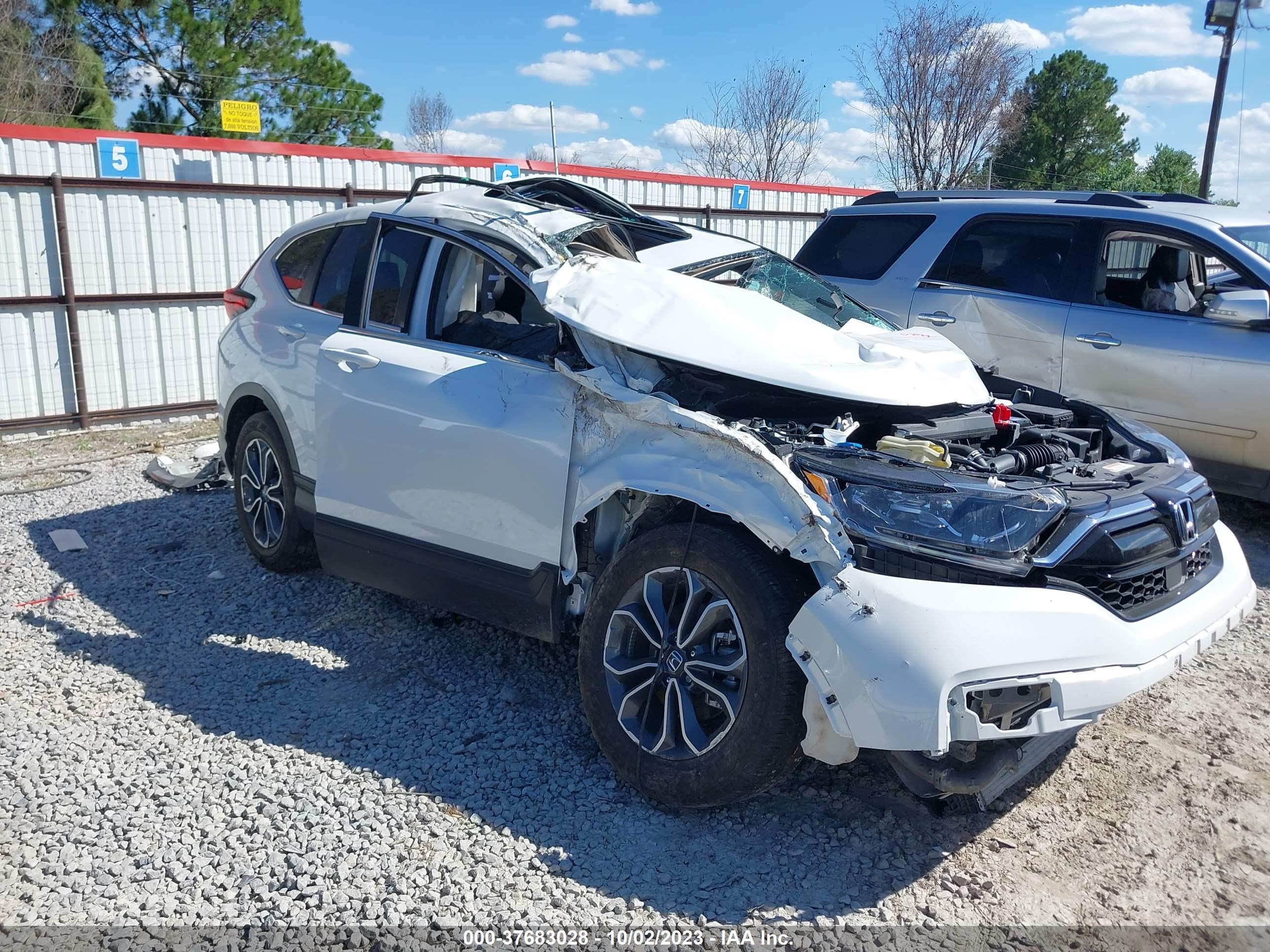 HONDA CR-V 2022 5j6rw1h82na022289