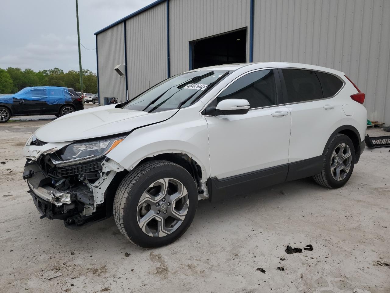 HONDA CR-V 2019 5j6rw1h83ka001818