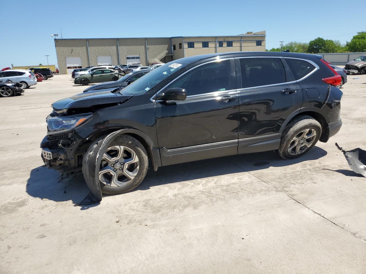 HONDA CR-V 2019 5j6rw1h83ka006324