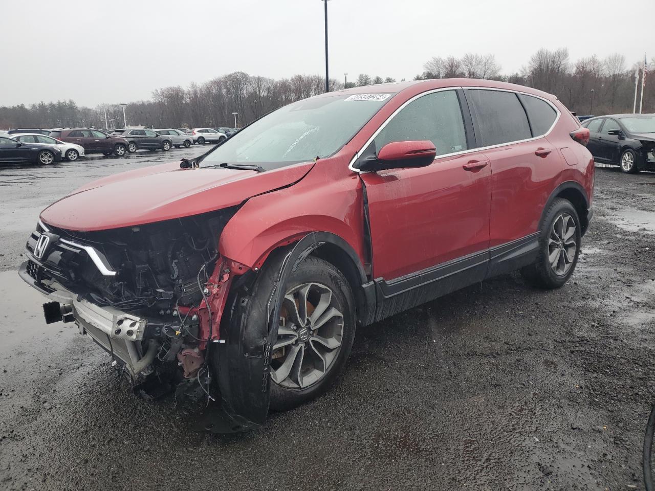 HONDA CR-V 2020 5j6rw1h83la005417